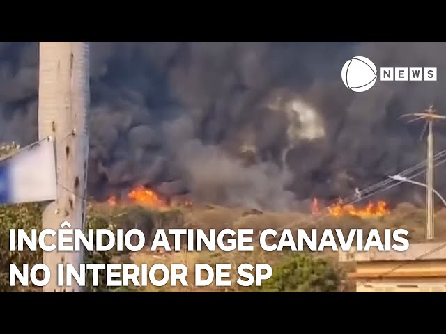 ⁣Incêndio de grandes proporções atinge canaviais em Igarapava, interior de São Paulo