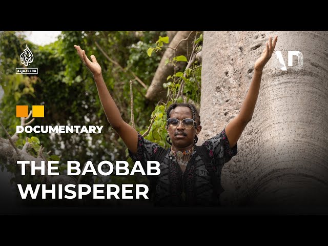 A Kenyan artist celebrates his love of the Baobab trees | Africa Direct Documentary