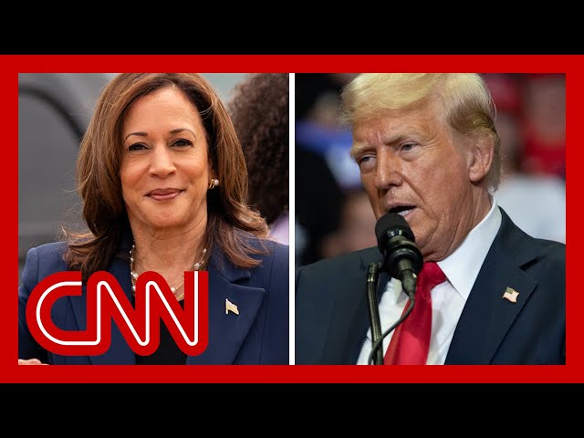 ⁣Trump campaign ‘completely freaked out’ by Harris candidacy, says former GOP strategist