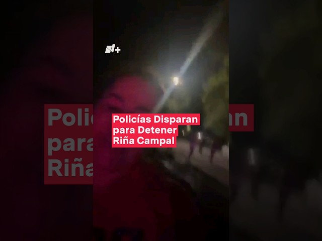 Policías disparan para detener riña campal #nmas #shorts