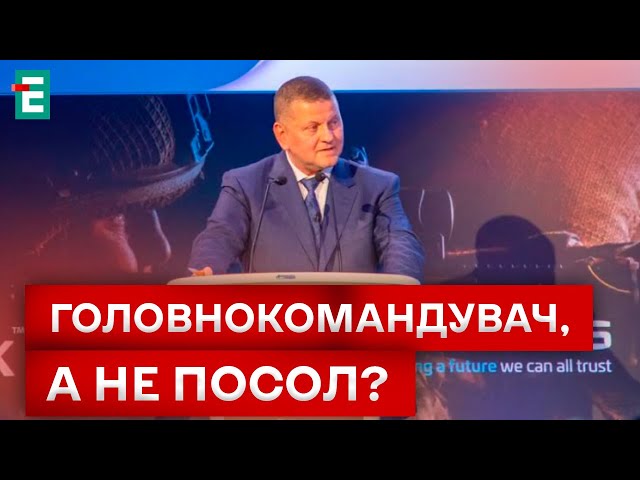 ⁣❗❗ВИСТУП ЗАЛУЖНОГО В ЛОНДОНІ! ПРО ЩО ГОВОРИВ?