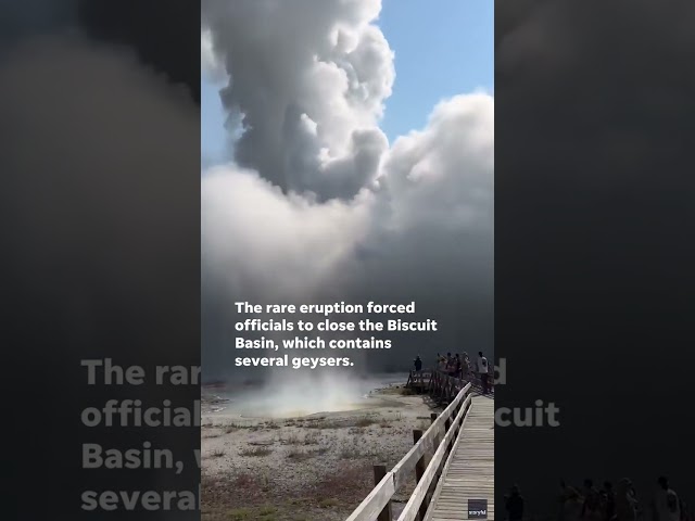 ⁣Watch: Hydrothermal explosion at Yellowstone sends guests running #Shorts