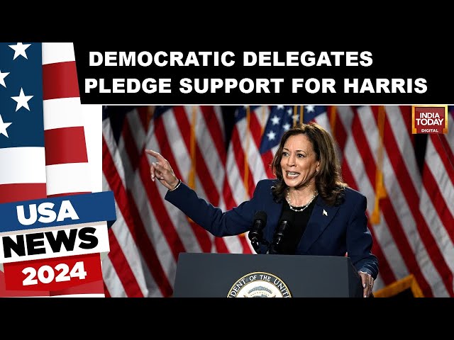 ⁣US Elections: Hundreds Of Democratic Delegates Pledge Support For Harris Says AP Survey