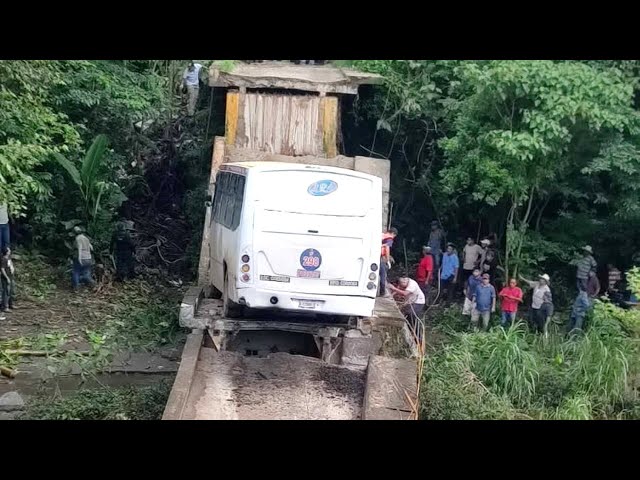 ⁣Puente colapsa cuando pasaba autobús de pasajeros en Veracruz - Las Noticias
