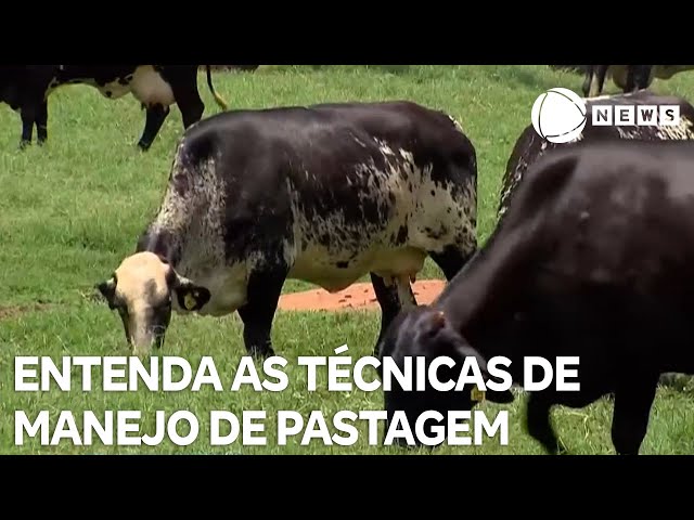 ⁣Pesquisa do Embrapa mostra baixa adesão de pecuaristas à técnicas de manejo de pastagem