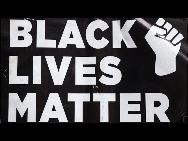 ‘Party of hypocrites’: Black Lives Matter slams the Democratic Party