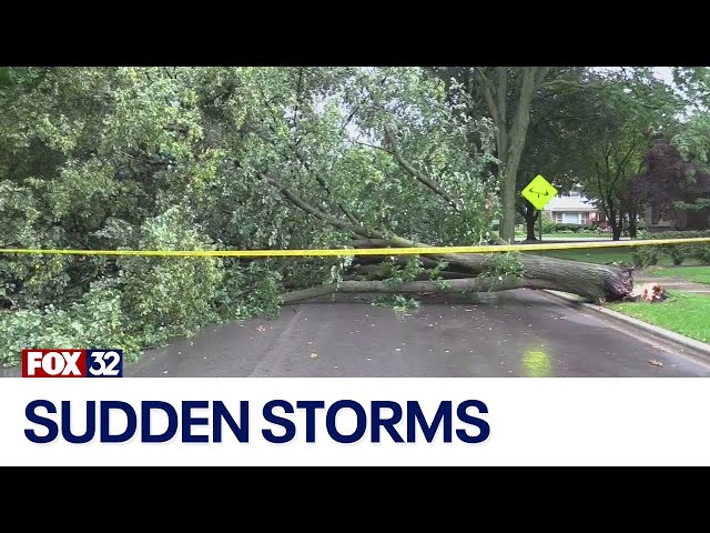 ⁣Sudden storms cause damage in Chicago suburbs