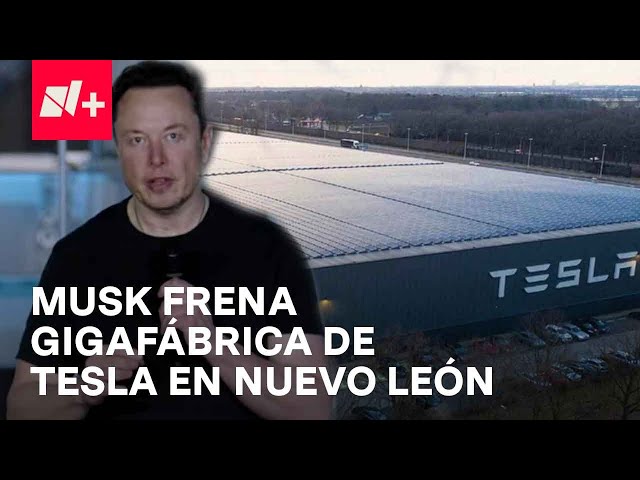 Elon Musk frena construcción de gigafábrica de Tesla en Nuevo León - En Punto