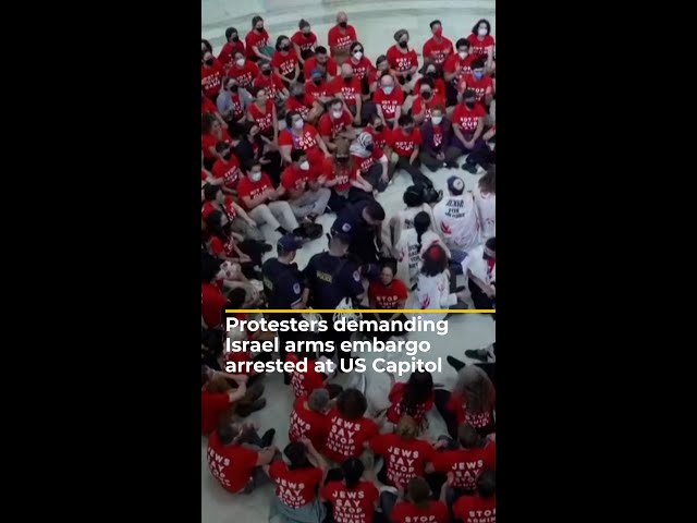 Protesters demanding Israel arms embargo arrested at US Capitol | #AJshorts