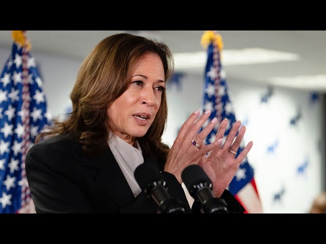 ‘Person of the moment’: Kamala Harris ‘never been better’ since Biden’s endorsement