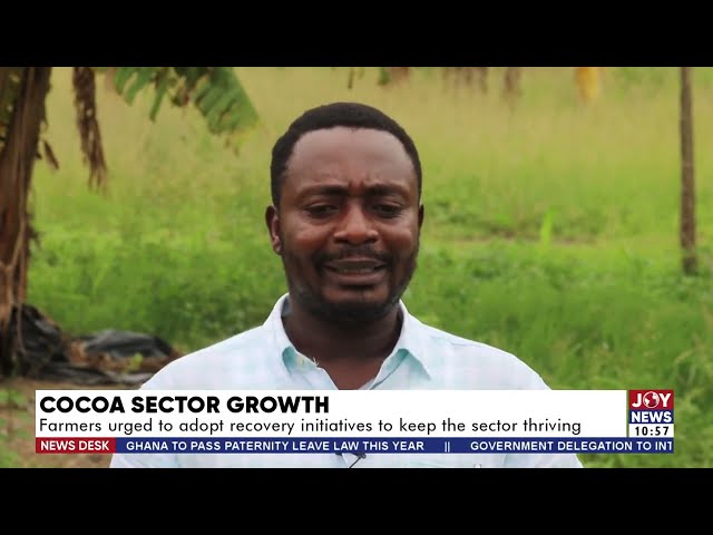 ⁣Cocoa Sector Growth: Farmers urged to adopt recovery initiatives to keep the sector thriving