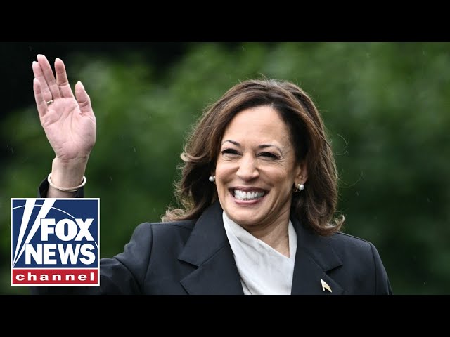 ⁣Criminal defense attorney reveals 'red flags' on Kamala Harris' record