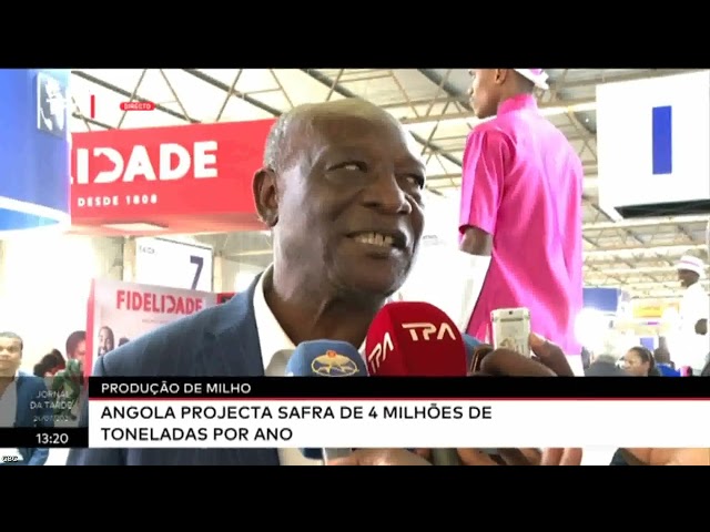 Produção de milho - Angola projecta safra de 4 milhões de toneladas por ano