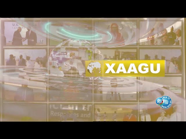 Xaagu 19h du 24/07/2024