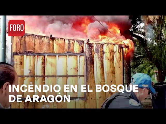 ⁣Incendio adentro del Bosques de Aragón, CDMX - Expreso de la Mañana