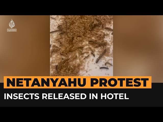 Pro-Palestine activists release maggots at Israeli delegation hotel | AJ #Shorts