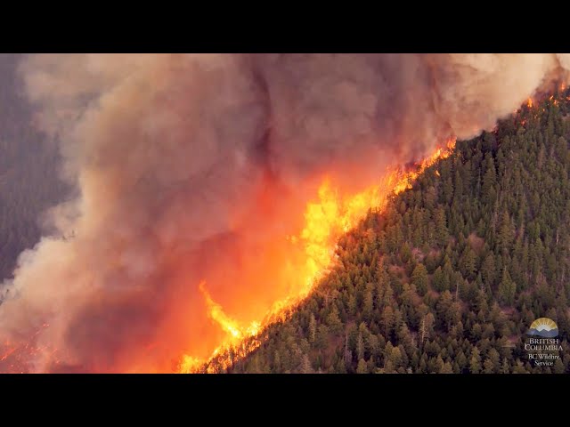 ⁣New video shows raging Shetland Creek wildfire in B.C.'s Fraser Canyon