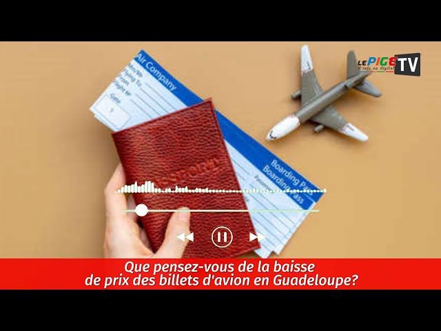 ⁣Que pensez-vous de la baisse de prix des billets d'avion en Guadeloupe ?