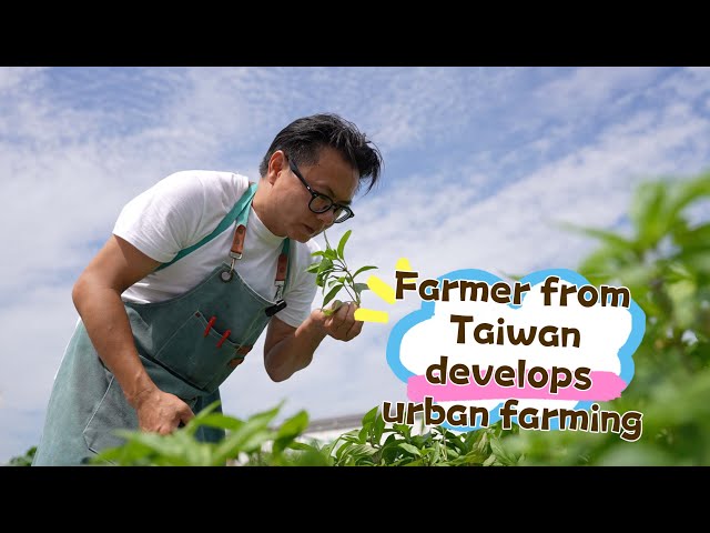 Taiwan farmer develops urban farming in Wuxi, Jiangsu Province