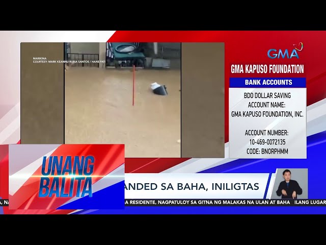 Mga asong stranded sa baha sa iba't-ibang lugar sa Metro Manila, iniligtas | Unang Balita