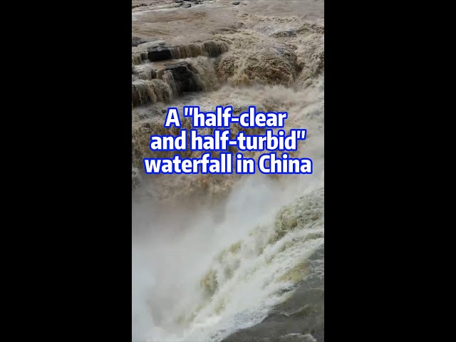 ⁣"Half-clear and half-turbid" spectacle at Hukou Waterfall in NW China