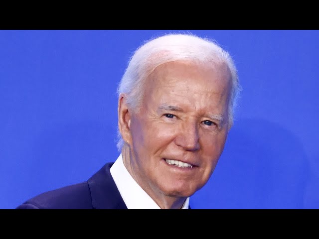 ‘Very bizarre’: Joe Biden didn’t answer any ‘fundamental questions’ in his speech