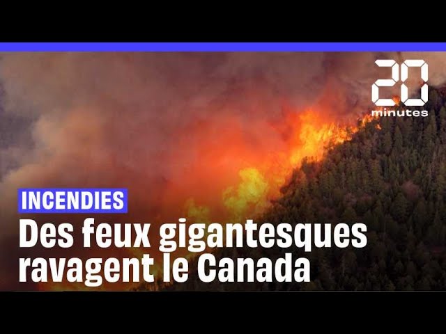 Canada: D'importants incendies ravagent des forêts en Colombie-Britannique