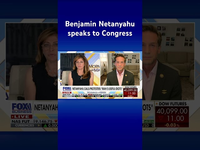 ⁣Netanyahu calls anti-Israel protesters ‘Iran’s useful idiot’ during address to Congress #shorts