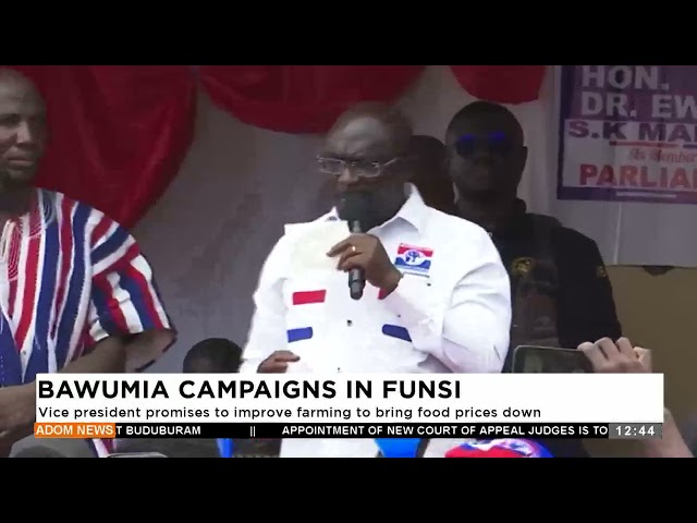 ⁣Bawumia Campaigns in Funsi- Premtobre Kasee on AdomTV  (25-7-24)