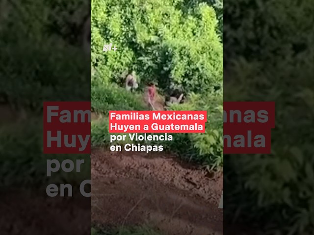 Familias de Chiapas huyen a Guatemala por violencia #nmas #chiapas #guatemala #shorts