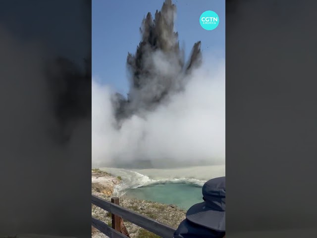 Massive geyser surprised visitors at Yellowstone National Park #shorts