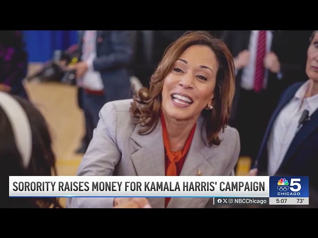 Historically Black sororities helps raise money for VP Harris' presidential campaign