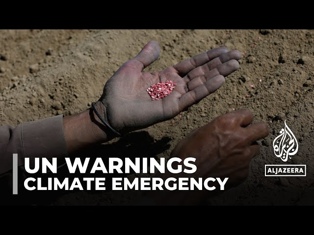 ⁣UN issues call for action after deadly temperatures record