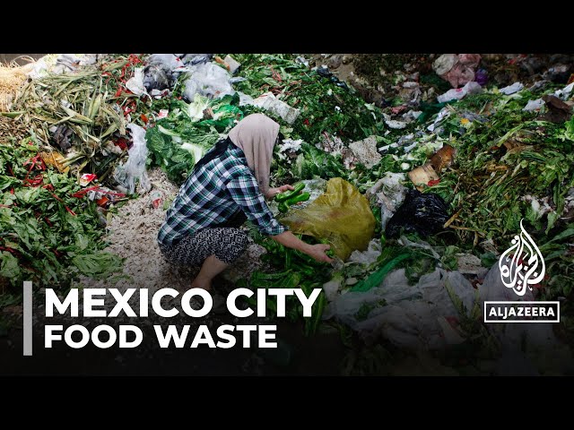 ⁣A Mexican government program aims to tackle food waste