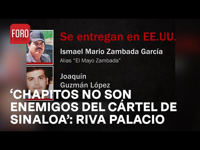 ⁣¿Cuál es la relación entre los ‘Chapitos’ y el Cártel de Sinaloa? - Las Noticias