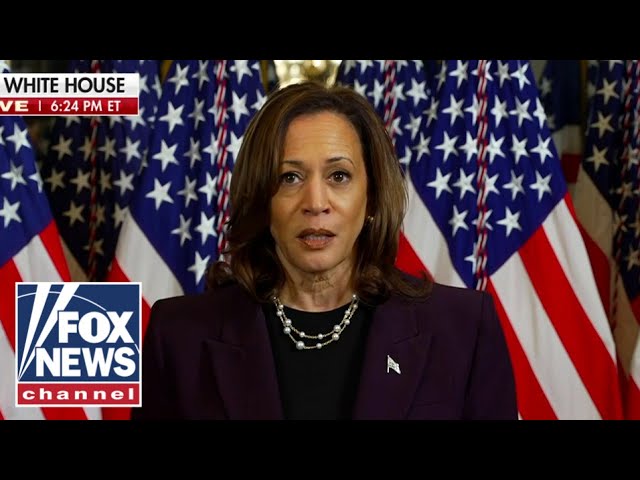 ⁣Kamala Harris: Israel has ‘right to defend itself,’ ‘serious concern’ over suffering in Gaza