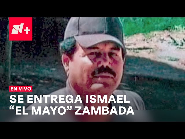 ⁣EN VIVO: Se entregan Ismael "El Mayo" Zambada y Joaquín Guzmán López