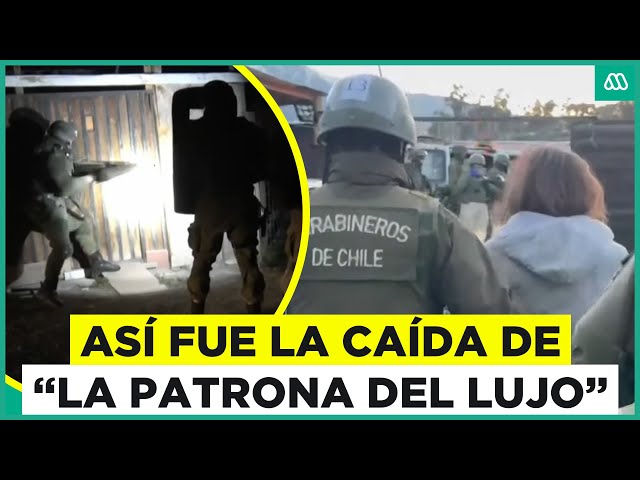 ⁣Los Caicedo: Así es la banda liderada por la "patrona del lujo" en toma de Puente Alto