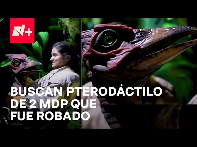 En Busca del Pterodáctilo Bebé, el Robo de los 2 MDP en Perisur