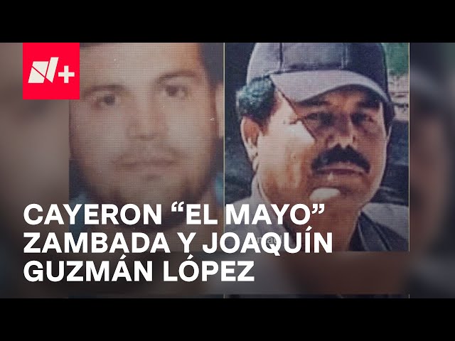 ⁣¿"Mayo" Zambada y el hijo de "El Chapo" fueron engañados para ser detenidos? - E