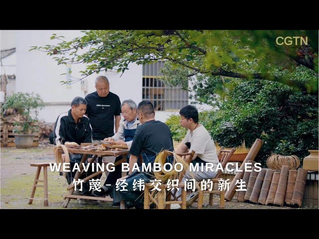 Introduction to 'Weaving Bamboo Miracles'