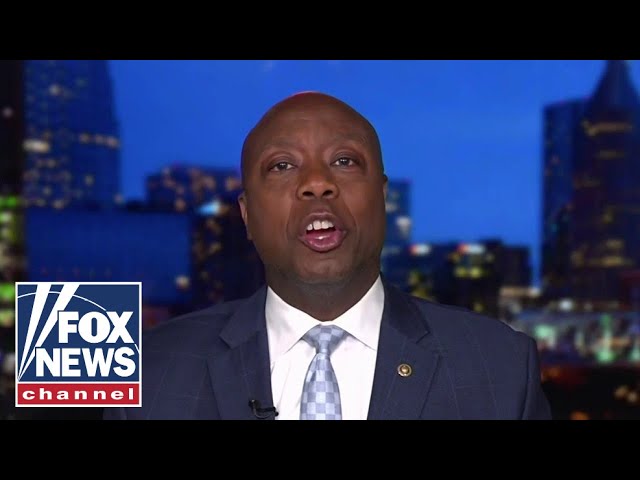 ⁣Sen. Tim Scott: Kamala is looking for ‘power and votes’
