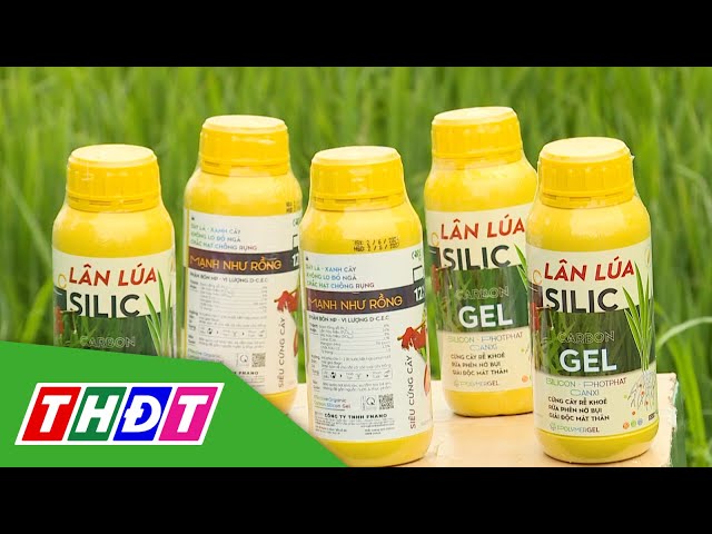 Giải pháp cứng cây - Lân lúa Silic | Gro Tech nhà nông tiên phong công nghệ | THDT