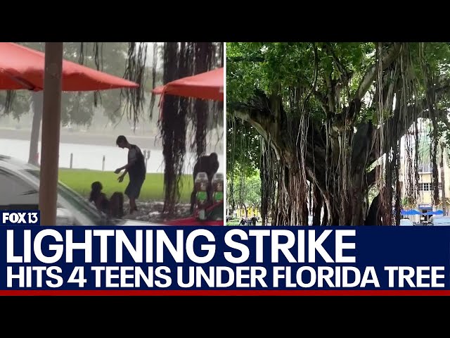 Four teenagers struck by lightning in vicious Florida storm