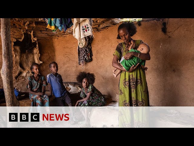 ⁣Ethiopia: Satellite images and doctor testimony reveal hunger crisis | BBC News