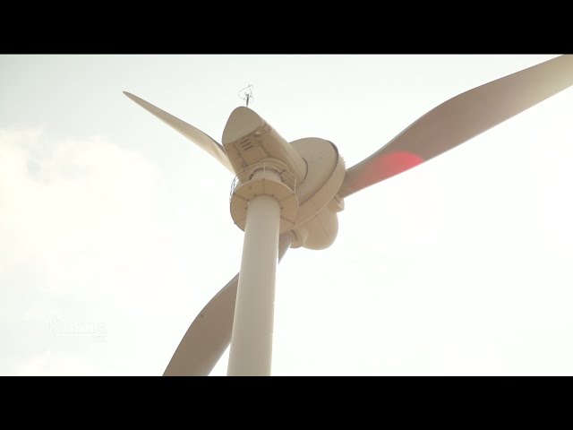 Klimafreundliche Energiewende: Windkraftanlagen aus 100% Holz  | KlimaZeit