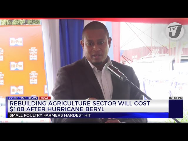 Rebuilding Agriculture Sector will Cost $10B after Hurricane Beryl | TVJ News