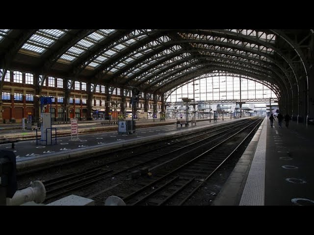 ⁣Passengers face long, uncertain wait at Lille station amid rail disruption