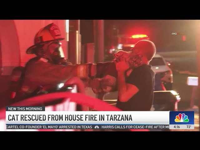 Cat rescued from house fire in Tarzana