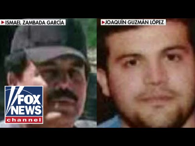 ⁣2 Sinaloa cartel leaders arrested, arrive in US after major sting operation